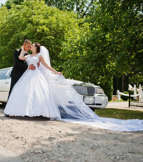 Limousine service Elgin Illinois wedding